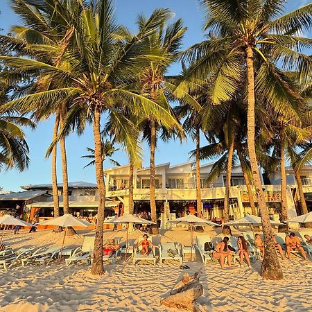 Calypso Beach And Dive Resort Manoc-Manoc Eksteriør billede
